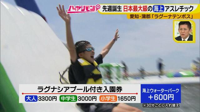 画像10: 朝から晩まで!一日中、海で遊べる蒲郡へ
日本最大級の海上アスレチックもオープン♪