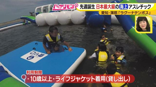 画像4: 朝から晩まで!一日中、海で遊べる蒲郡へ
日本最大級の海上アスレチックもオープン♪