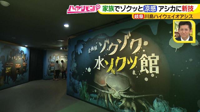 画像5: 思わず釘付け!1日中遊べるPAに新メニューが登場♪
ぴあ編集長推し!東海3県SA・PA最新情報
