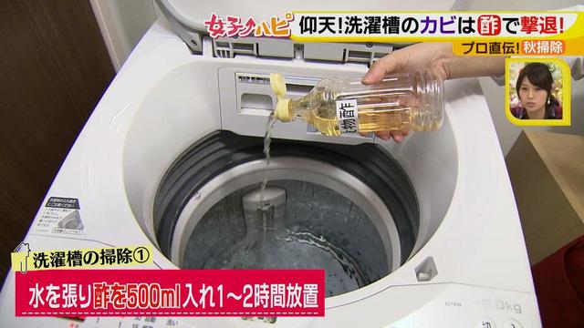 画像2: 今がオススメ!秋掃除で年末掃除がら~くらく♪
カビの繁殖を防ぐには根付く前に撃退が効果的!