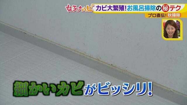 画像4: 今がオススメ!秋掃除で年末掃除がら~くらく♪
カビの繁殖を防ぐには根付く前に撃退が効果的!