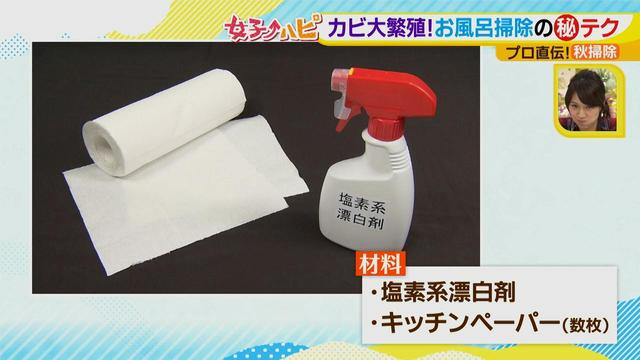 画像5: 今がオススメ!秋掃除で年末掃除がら~くらく♪
カビの繁殖を防ぐには根付く前に撃退が効果的!