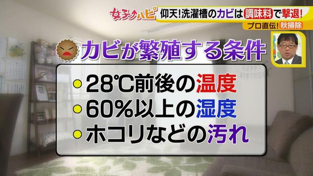 画像1: 今がオススメ!秋掃除で年末掃除がら~くらく♪
カビの繁殖を防ぐには根付く前に撃退が効果的!