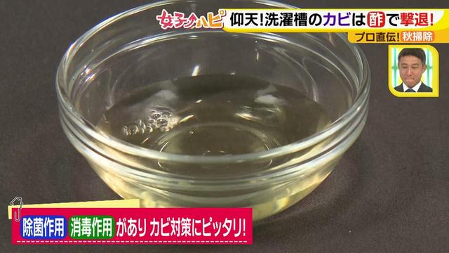 画像3: 今がオススメ!秋掃除で年末掃除がら~くらく♪
カビの繁殖を防ぐには根付く前に撃退が効果的!
