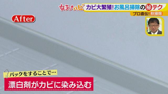 画像7: 今がオススメ!秋掃除で年末掃除がら~くらく♪
カビの繁殖を防ぐには根付く前に撃退が効果的!