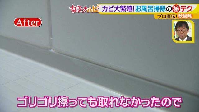 画像8: 今がオススメ!秋掃除で年末掃除がら~くらく♪
カビの繁殖を防ぐには根付く前に撃退が効果的!