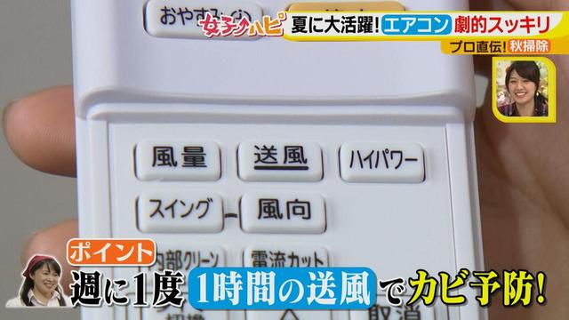 画像15: 今がオススメ!秋掃除で年末掃除がら~くらく♪
夏に酷使したあの電化製品の汚れをスッキリ落とす!