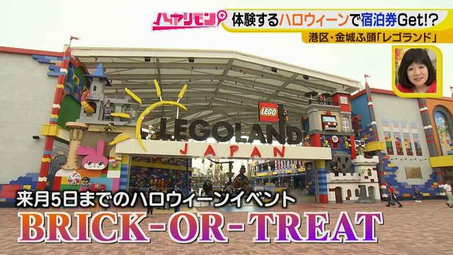 画像1: 手軽に楽しむハロウィーン
限定で溢れているレゴランドでホテル宿泊券ゲット!