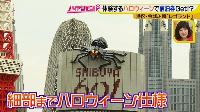 画像5: 手軽に楽しむハロウィーン
限定で溢れているレゴランドでホテル宿泊券ゲット!