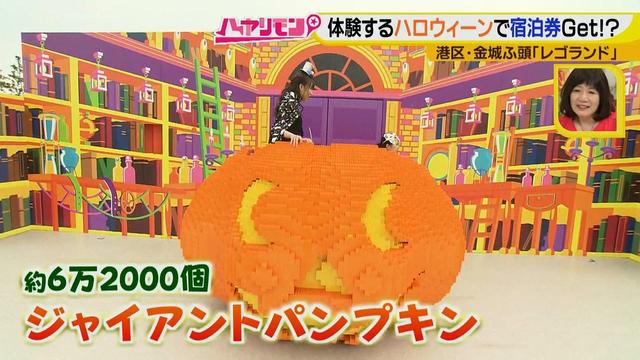 画像7: 手軽に楽しむハロウィーン
限定で溢れているレゴランドでホテル宿泊券ゲット!