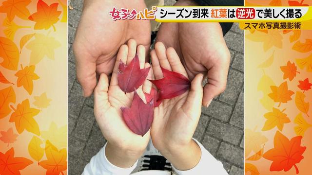 画像9: この秋使えるスマホ写真術!in東山動植物園
紅葉を撮る位置は?失敗した写真の救済策も♪