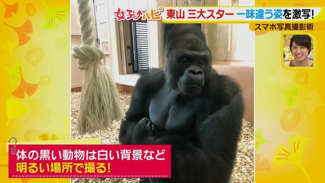 画像17: この秋使えるスマホ写真術!in東山動植物園
こども&動物の2ショットを楽しく撮るコツ♪
