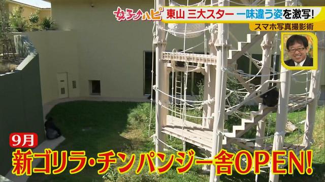 画像14: この秋使えるスマホ写真術!in東山動植物園
こども&動物の2ショットを楽しく撮るコツ♪
