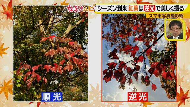 画像3: この秋使えるスマホ写真術!in東山動植物園
紅葉を撮る位置は?失敗した写真の救済策も♪