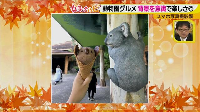 画像4: この秋使えるスマホ写真術!in東山動植物園
グルメ写真は背景を♪人物写真は足位置を意識して♪
