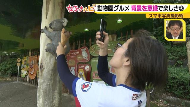 画像3: この秋使えるスマホ写真術!in東山動植物園
グルメ写真は背景を♪人物写真は足位置を意識して♪