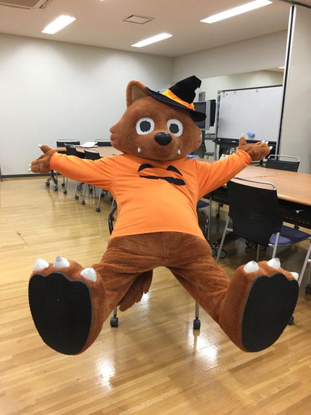 画像: 椅子でサーっと転がっていくウルフィ