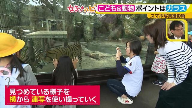 画像5: この秋使えるスマホ写真術!in東山動植物園
こども&動物の2ショットを楽しく撮るコツ♪