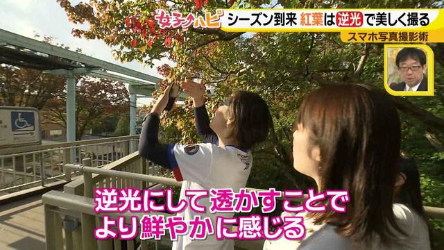 画像2: この秋使えるスマホ写真術!in東山動植物園
紅葉を撮る位置は?失敗した写真の救済策も♪