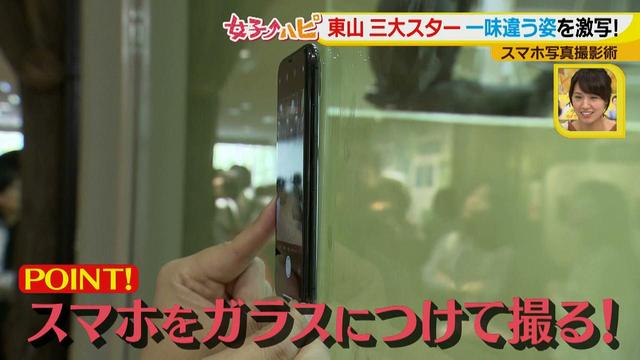 画像15: この秋使えるスマホ写真術!in東山動植物園
こども&動物の2ショットを楽しく撮るコツ♪