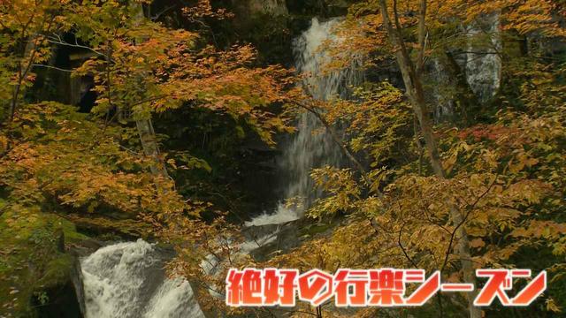 画像1: この秋使えるスマホ写真術!in東山動植物園
紅葉を撮る位置は?失敗した写真の救済策も♪