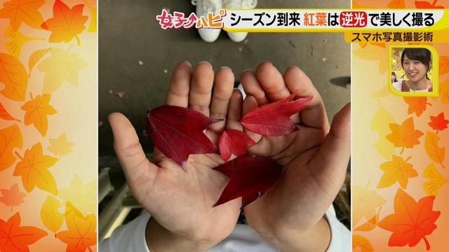 画像8: この秋使えるスマホ写真術!in東山動植物園
紅葉を撮る位置は?失敗した写真の救済策も♪