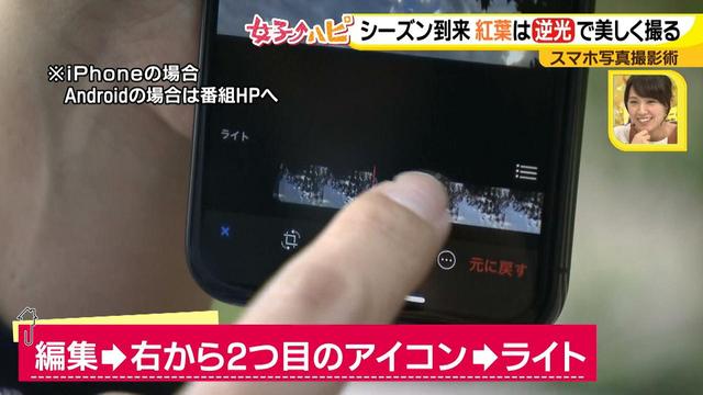 画像6: この秋使えるスマホ写真術!in東山動植物園
紅葉を撮る位置は?失敗した写真の救済策も♪