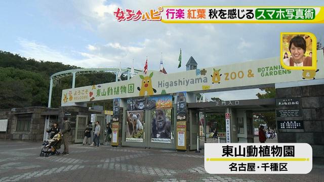 画像1: この秋使えるスマホ写真術!in東山動植物園
こども&動物の2ショットを楽しく撮るコツ♪