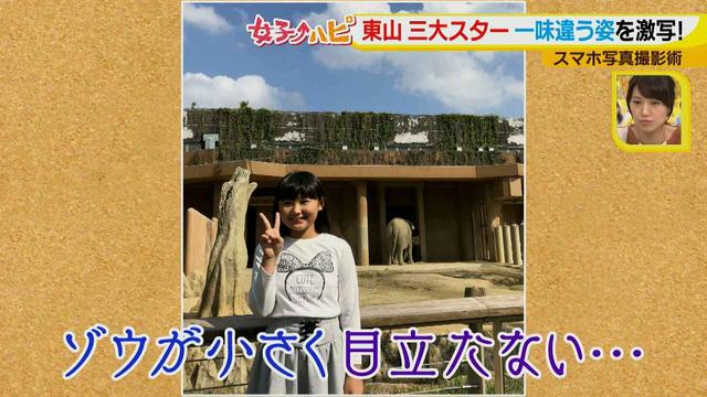 画像8: この秋使えるスマホ写真術!in東山動植物園
こども&動物の2ショットを楽しく撮るコツ♪
