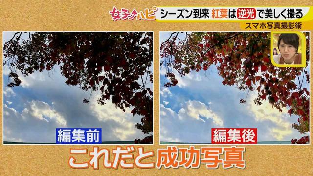 画像5: この秋使えるスマホ写真術!in東山動植物園
紅葉を撮る位置は?失敗した写真の救済策も♪