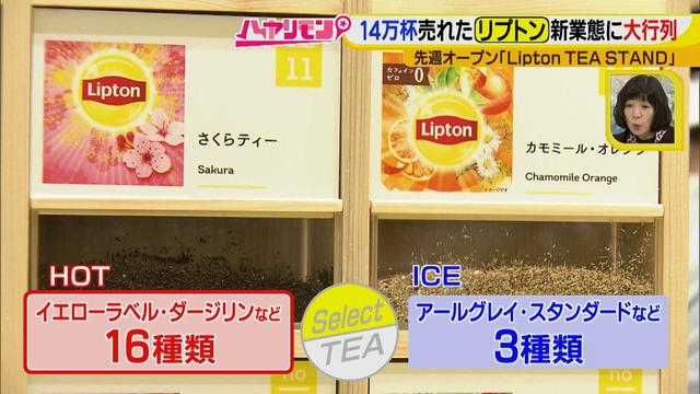 画像5: もう並んだ?イエローボトルのカスタムTEAがカワイイ♪
この冬、行きたい!名古屋の新店HOTスポット