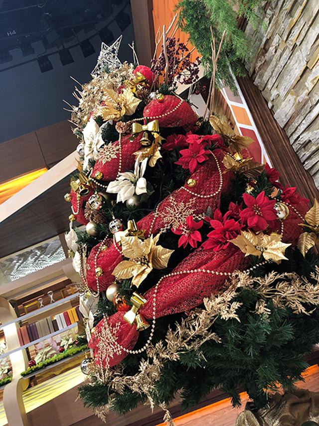 画像: 煌びやかなクリスマスツリー!!