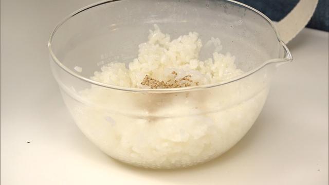画像7: パーティーにもピッタリ!みんなで楽しい手巻き風 “キンパ”!「超お手軽!ロバート馬場ちゃんの楽楽ごはん」