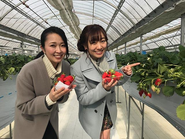 画像2: 徳重杏奈 早くも3回目