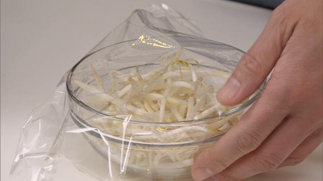 画像2: パーティーにもピッタリ!みんなで楽しい手巻き風 “キンパ”!「超お手軽!ロバート馬場ちゃんの楽楽ごはん」