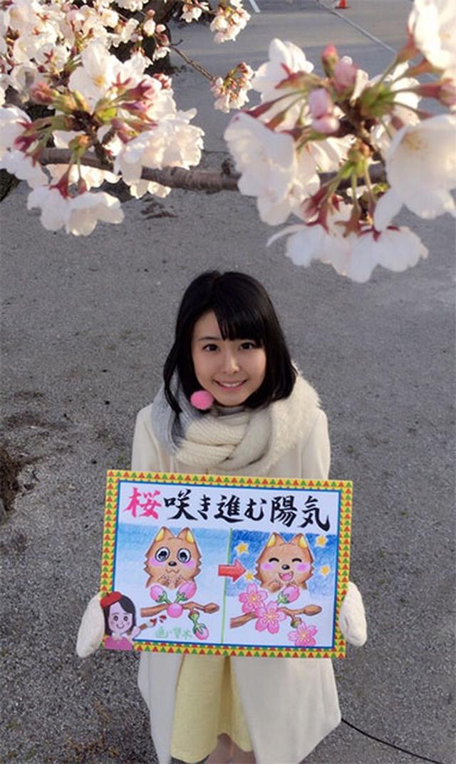 画像: 昨年春に撮った写真