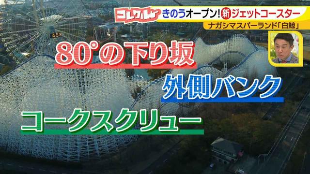 画像3: ナガシマスパーランド話題のハイブリットアトラクション!
急降下しーの、持っていかれーの、無重力でおかしくなりーの♪