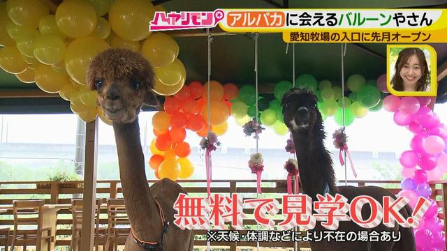 画像7: 夏のおでかけ最新情報! あの動物と会える新スポット