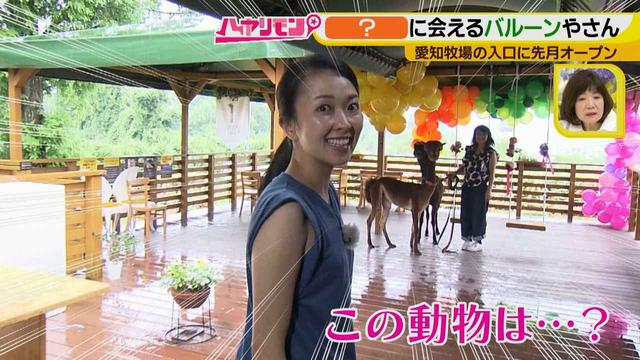 画像5: 夏のおでかけ最新情報! あの動物と会える新スポット