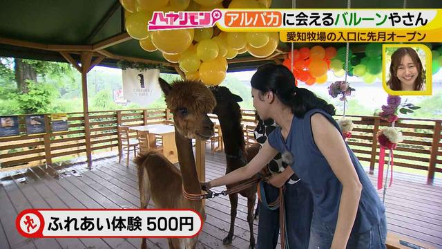 画像10: 夏のおでかけ最新情報! あの動物と会える新スポット