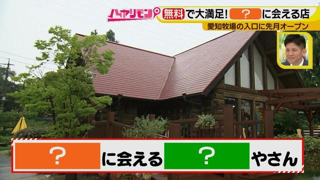 画像1: 夏のおでかけ最新情報! あの動物と会える新スポット