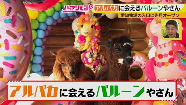 画像9: 夏のおでかけ最新情報! あの動物と会える新スポット