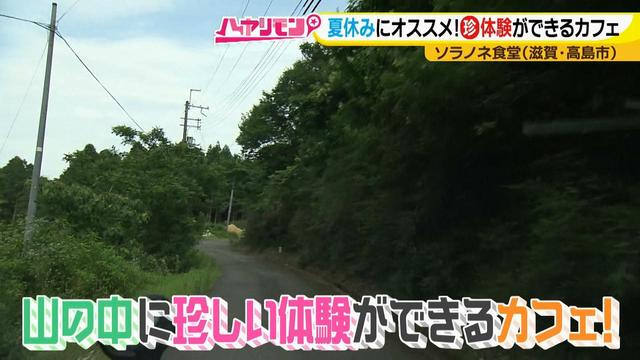 画像1: 夏の琵琶湖旅! 大自然の中で珍しい体験ができるカフェ