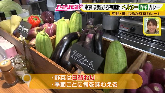 画像10: 栄養満点!! 名古屋のスパイスカレーを大調査