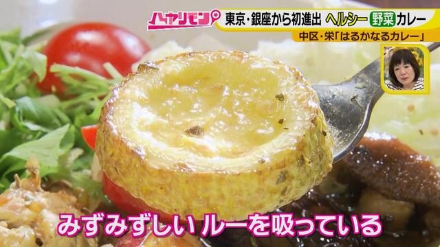 画像12: 栄養満点!! 名古屋のスパイスカレーを大調査