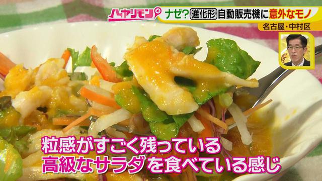 画像6: 自動販売機で売っている意外なモノ?! とてもおいしい、サラダにかけるあのアイテムとは?