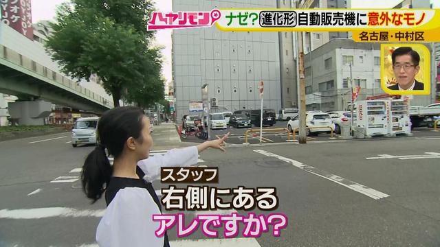 画像2: 自動販売機で売っている意外なモノ?! とてもおいしい、サラダにかけるあのアイテムとは?