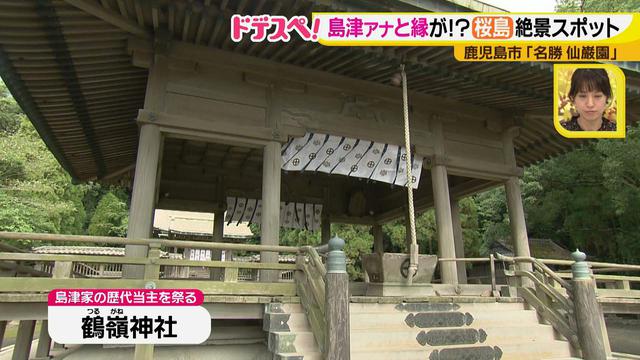画像8: 日帰りで行ける! スカイマークで行く、鹿児島女子旅♪