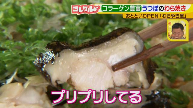 画像15: 名古屋へ初進出! 藁で豪快に焼く、おいしい高知名物のお店とは?!