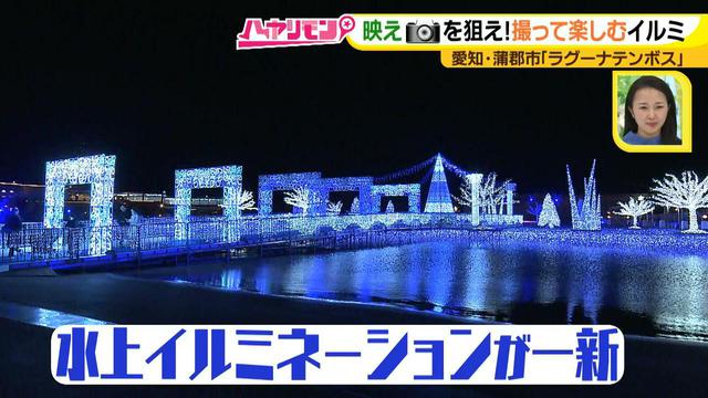 画像2: インスタ映え間違いなしの絶景が多数♪ 撮って楽しむ、体験イルミネーション!